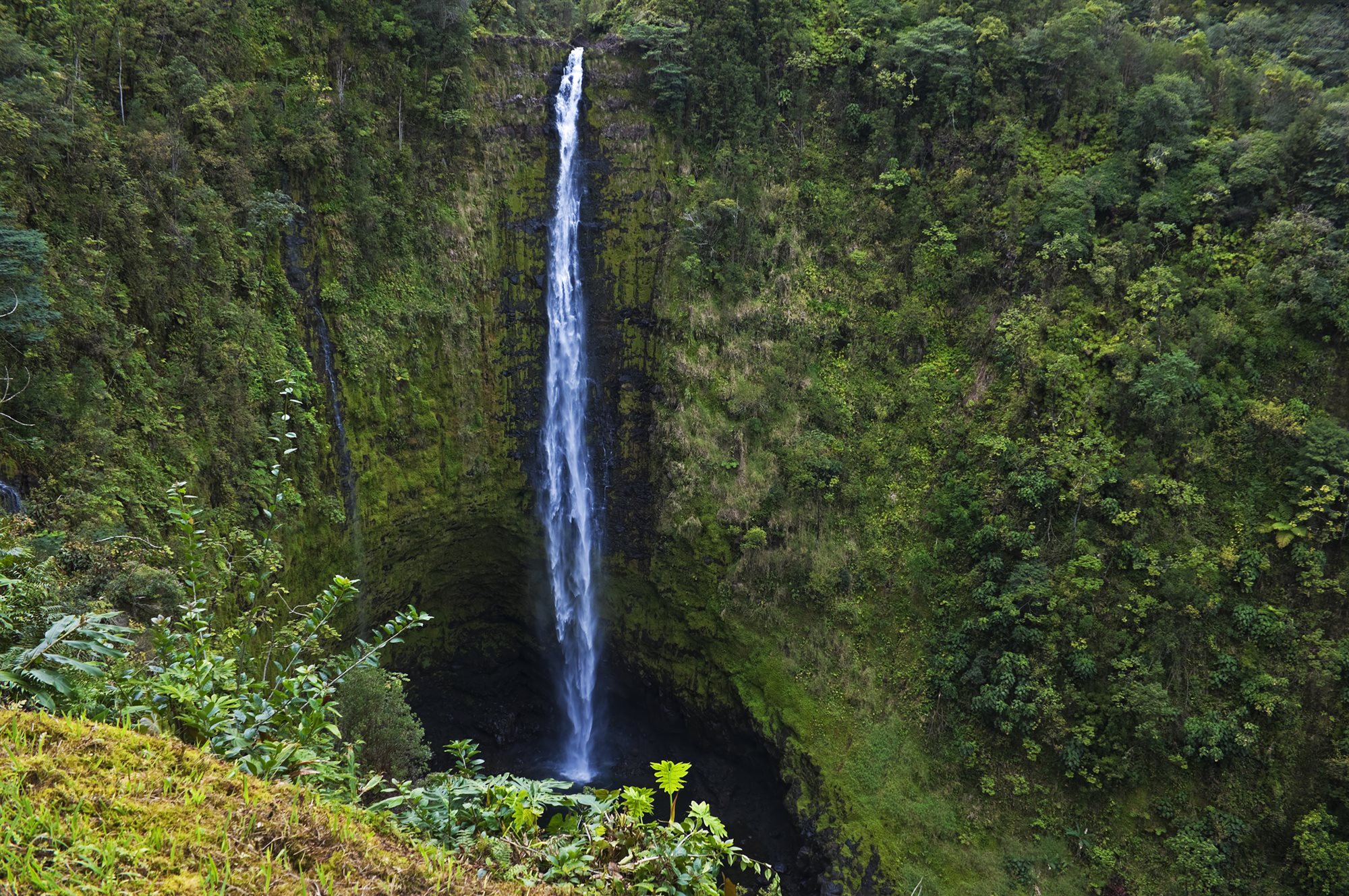 Akaka Falls waterfall on the Big Island of Hawaii